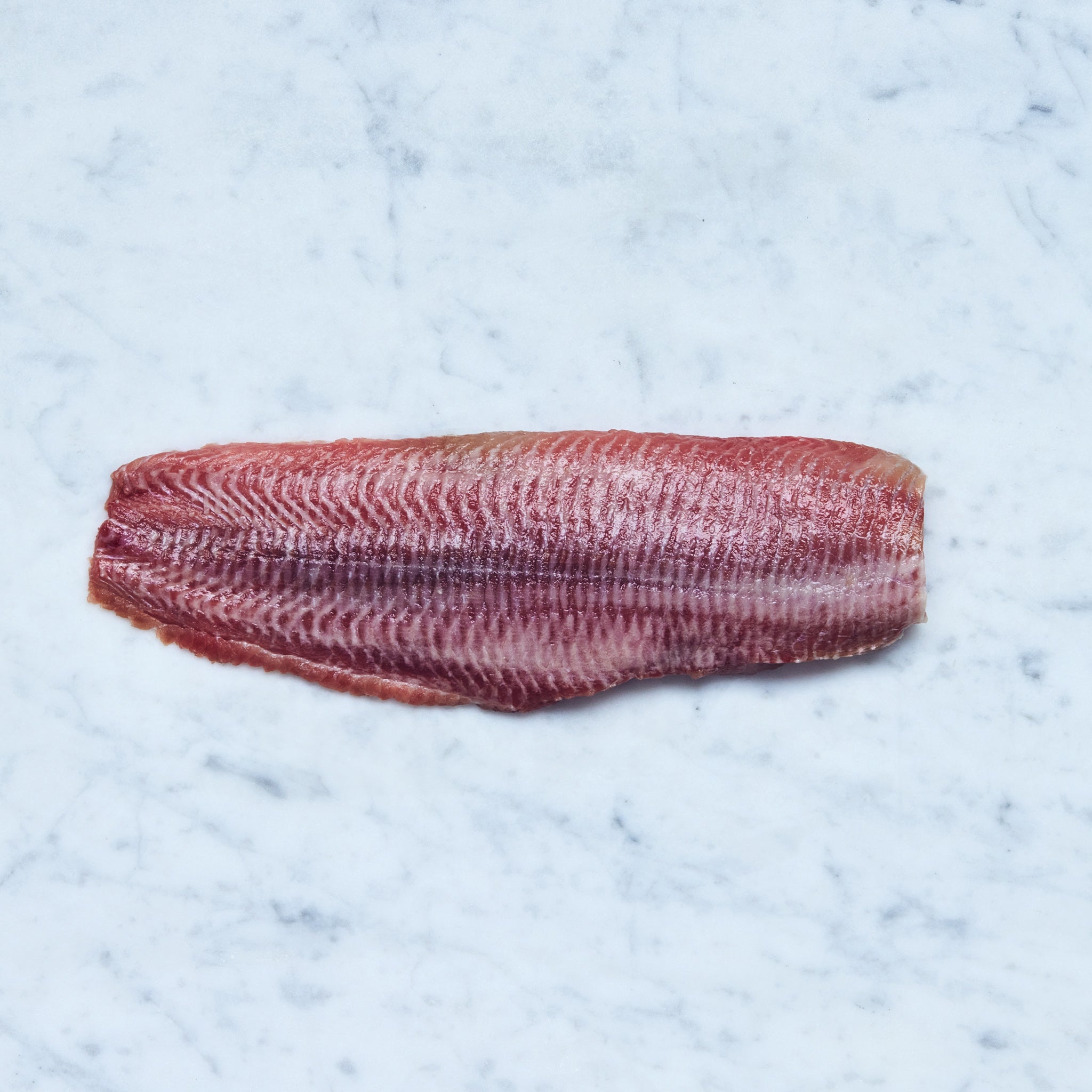 Ein frisches Wels-Filet auf einer Marmoroberfläche, von Frisch Gefischt.