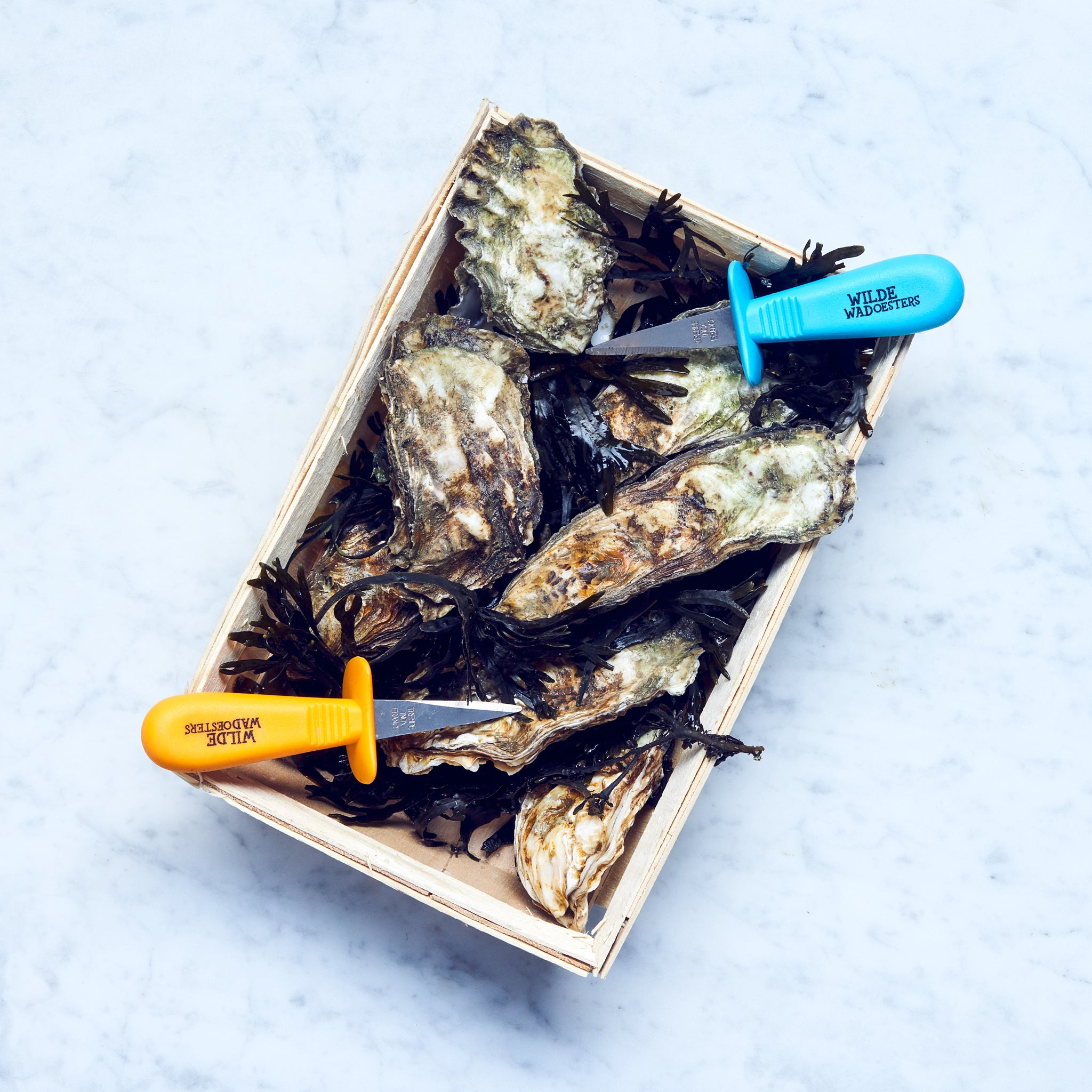 Zwei Austernmessern auf einer Holzkiste mit Austern und Algen drinnen.