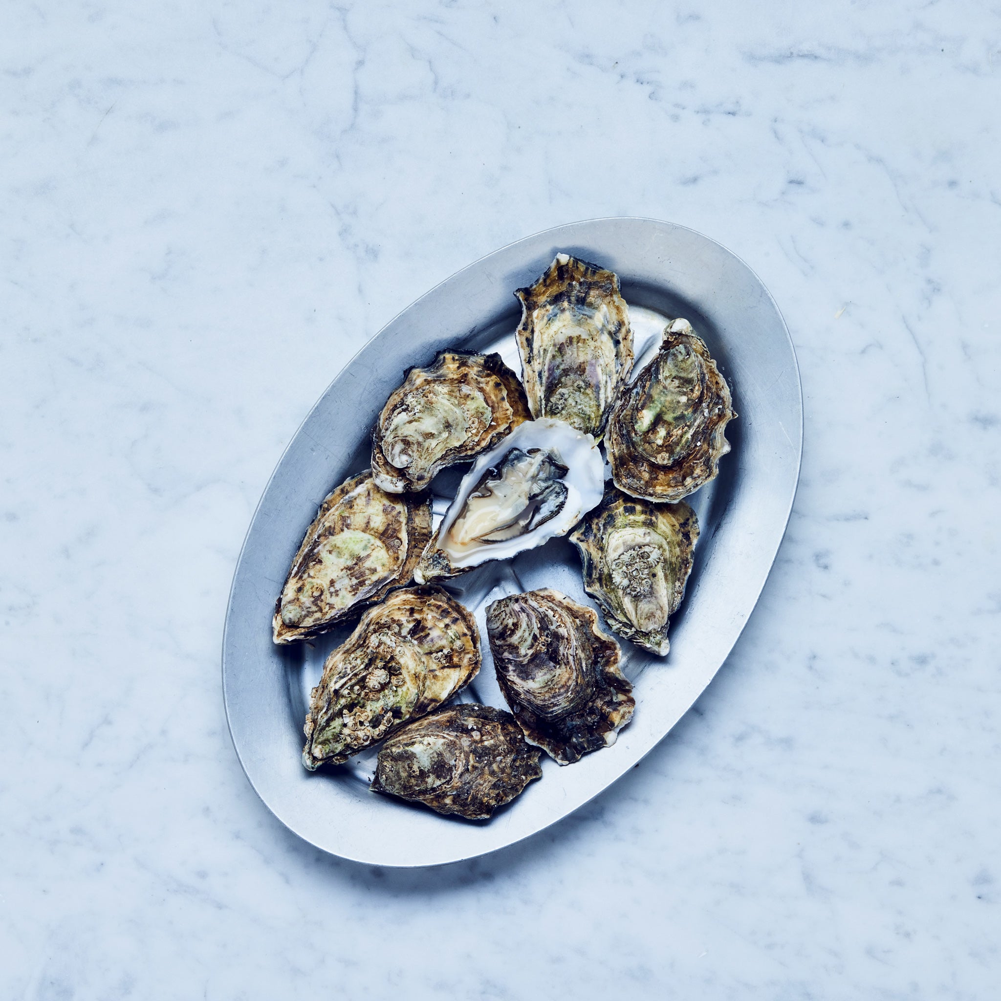 Frische Gilleardeu Austern auf einem Silberteller auf einer Marmorplatte. Gillardeau austern kaufen.
