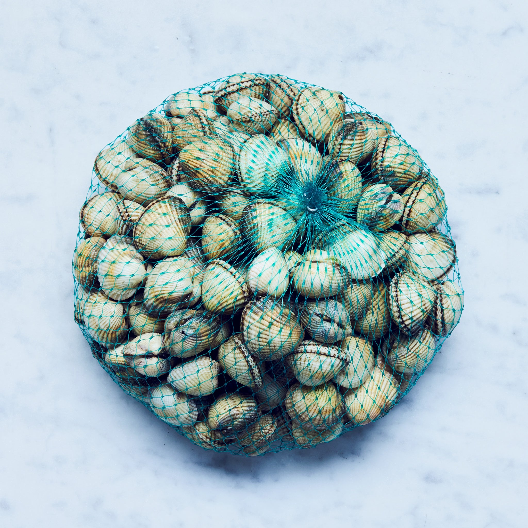 Herzmuscheln kaufen. Frische Herzmuscheln in einem grünen Netz auf einer Marmorplatte.
