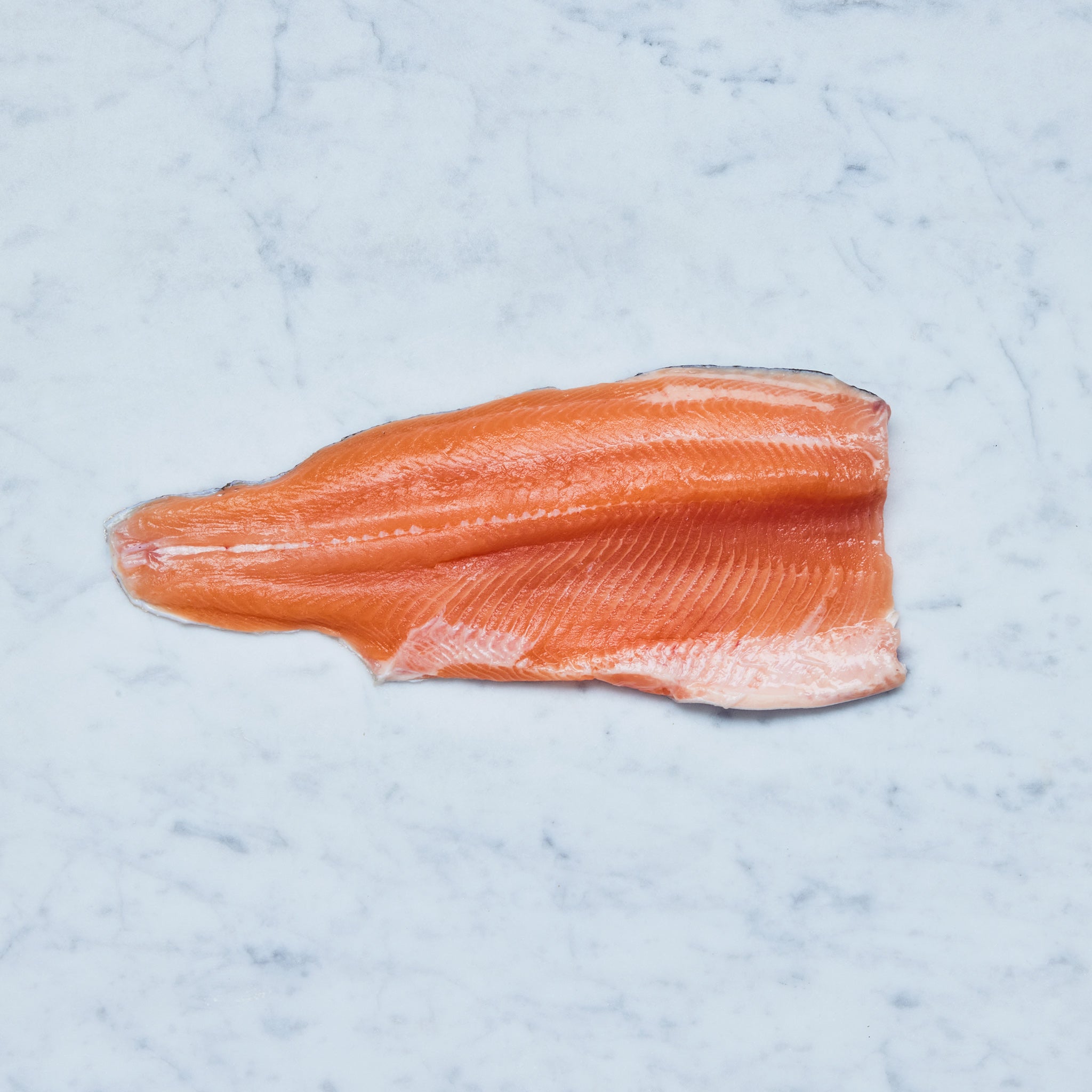 Ein Lachsforellenfilet mit Haut auf einer Marmoroberfläche, von Frisch Gefischt.