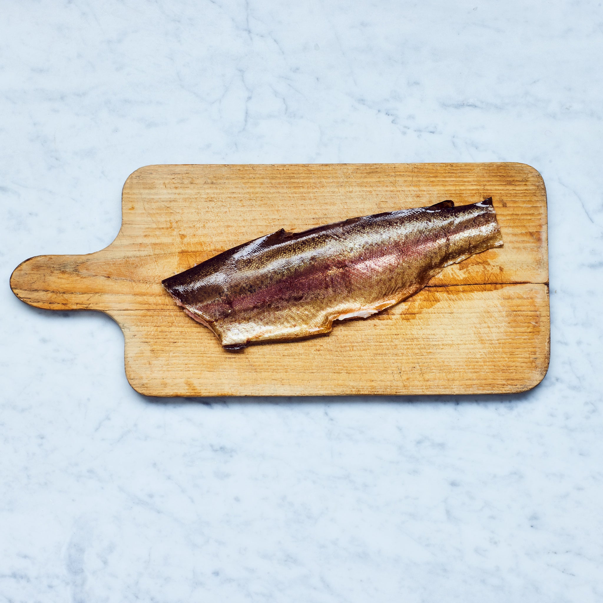 Nachhaltig geräuchertes Lachsforellenfilet mit Haut von Frisch Gefischt auf einem Schneidebrett.