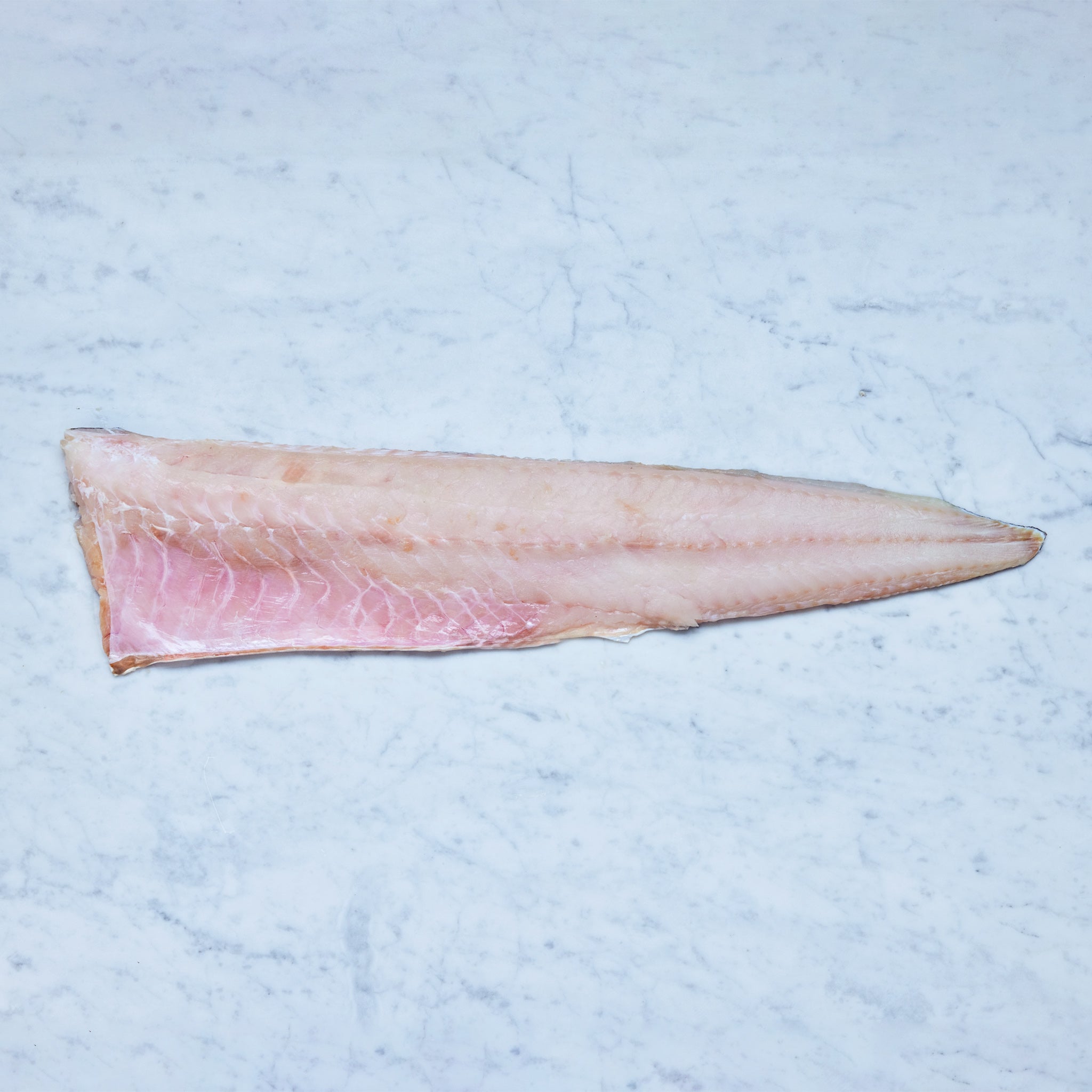 Ein frisches Leng-Filet mit Haut auf einer Marmoroberfläche, von Frisch Gefischt.