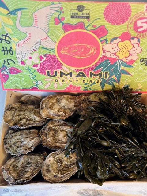 Umami Austern