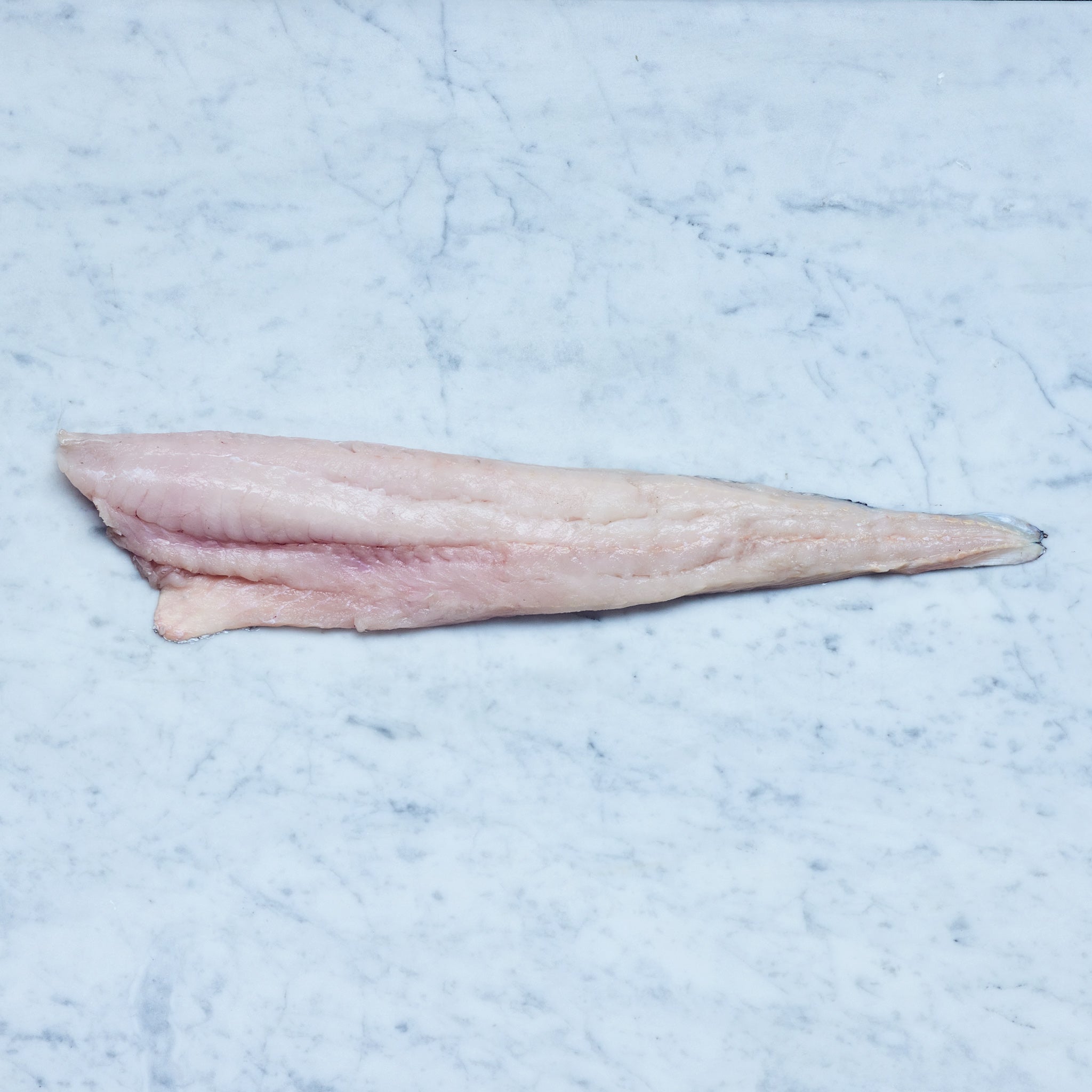 Ein frisches Seehecht-Filet mit Haut auf einer Marmoroberfläche, von Frisch Gefischt.