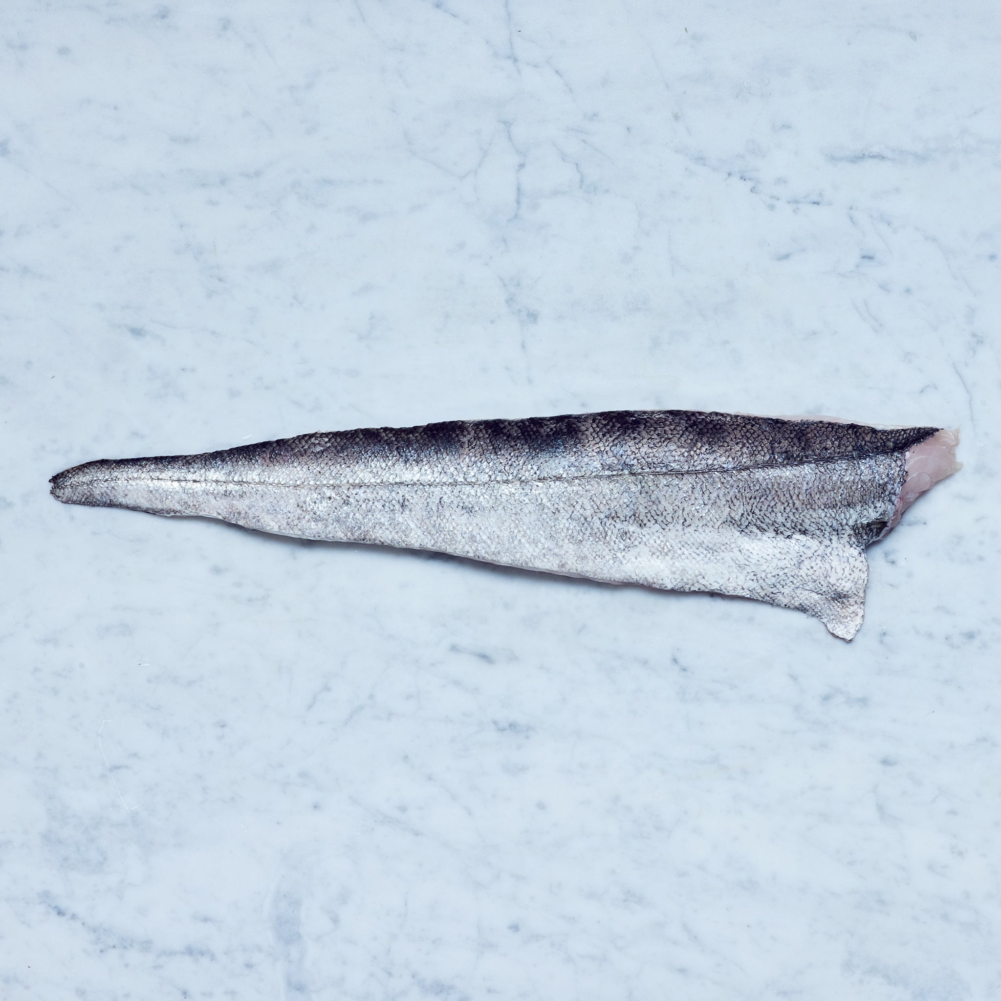 Ein frisches Seehecht-Filet mit Haut auf einer Marmoroberfläche, von Frisch Gefischt.