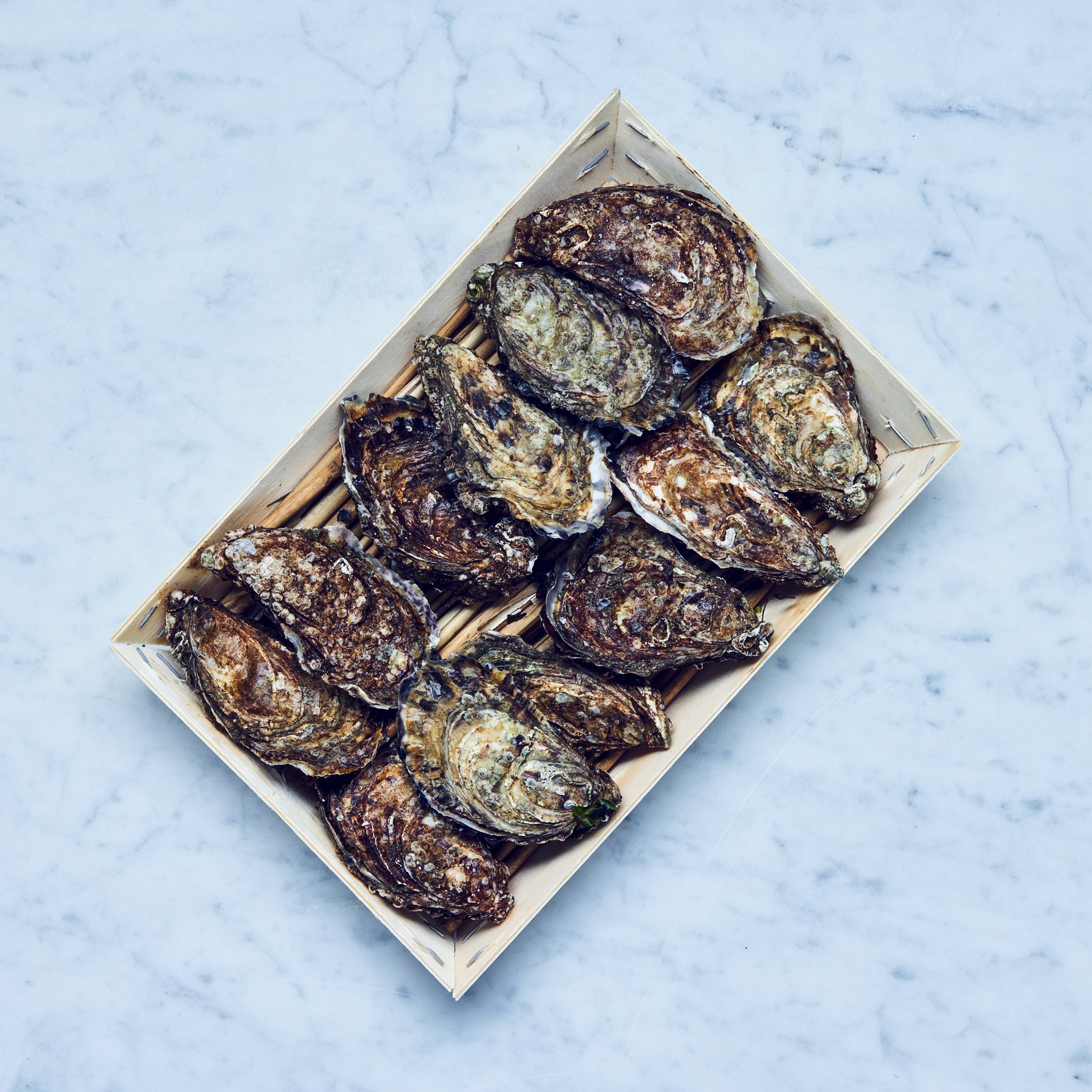 Frische Sylter Royal Austern in einer Holzkiste auf einem Marmortisch.