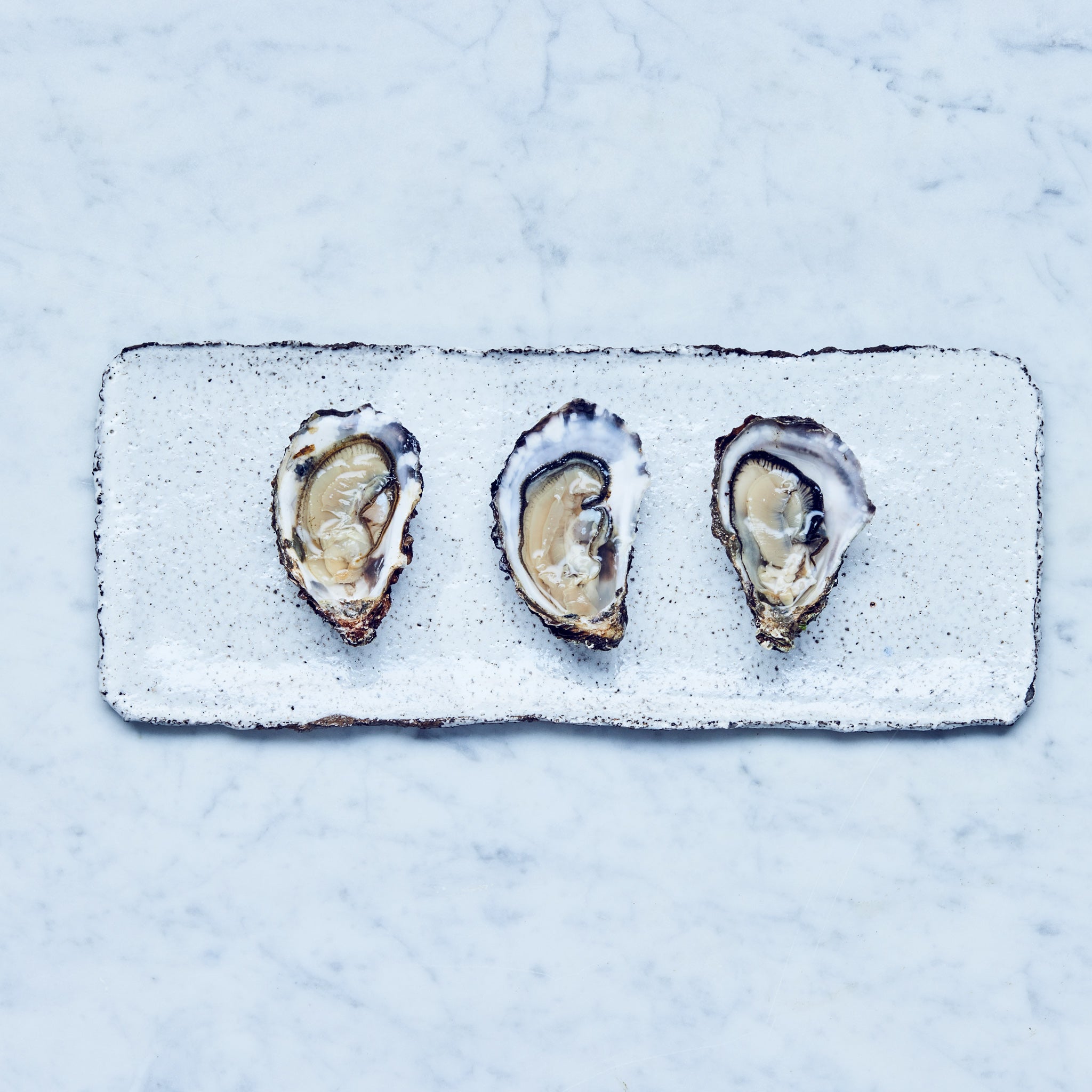 Drei frische Sylter Royal Austern auf einem weißen, rechteckigen Teller.